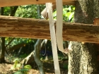 Hang up to dry