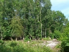 lunar-wood-27-06-10-061