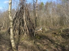 woodland-weekend-01-04-12-023