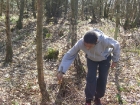 woodland-weekend-01-04-12-030