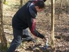 woodland-weekend-01-04-12-040