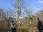 woodland-weekend-01-04-12-055